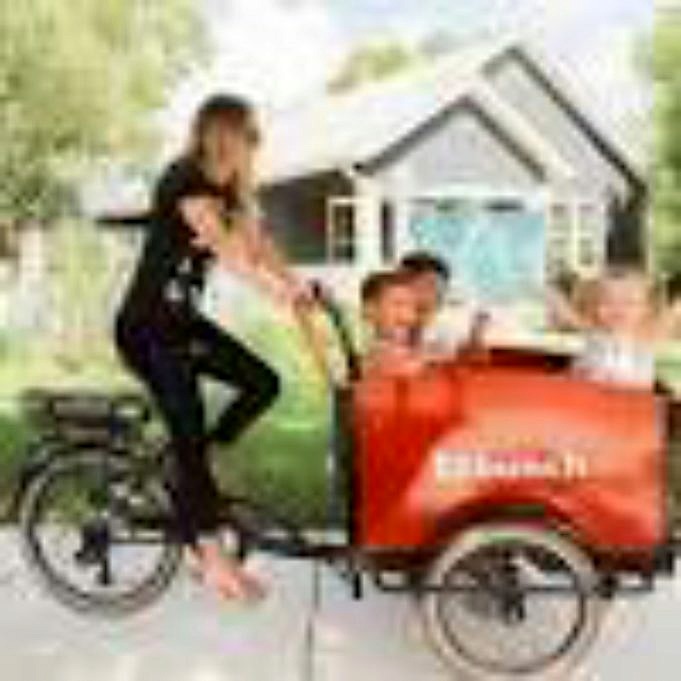 Examen Du Vélo Cargo électrique Bunch Bike Family